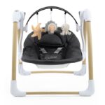 BabyStyle Oyster Home Swing Carbonite – Bouncers - Cocun