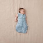 ergoPouch 2.5 TOG 3-6 Months Organic Winter Cocoon Swaddle Sleeping Bag Dragonfly – Sleeping Bags - Cocun